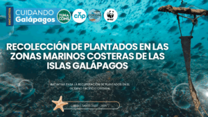 TUNACONS Participates in the Second International Workshop on FAD Recovery and Presents Progress from the Galápagos Program
