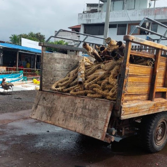 CUIDANDO GALAPAGOS ACTUALIZADO - 20