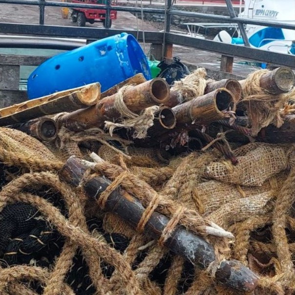 Iniciativas para la recuperación de plantados en el Océano Pacífico Oriental - 14