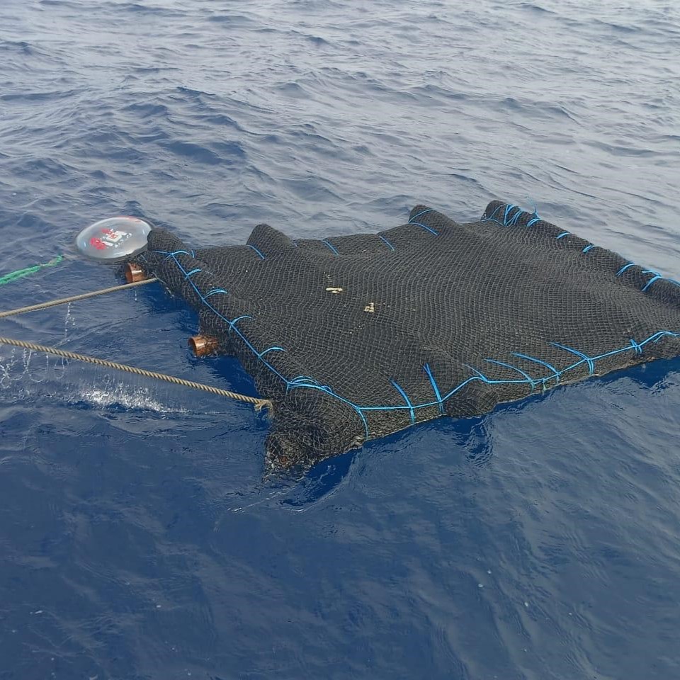 WhatsApp Image 2024-12-04 at 7.34.14 AM