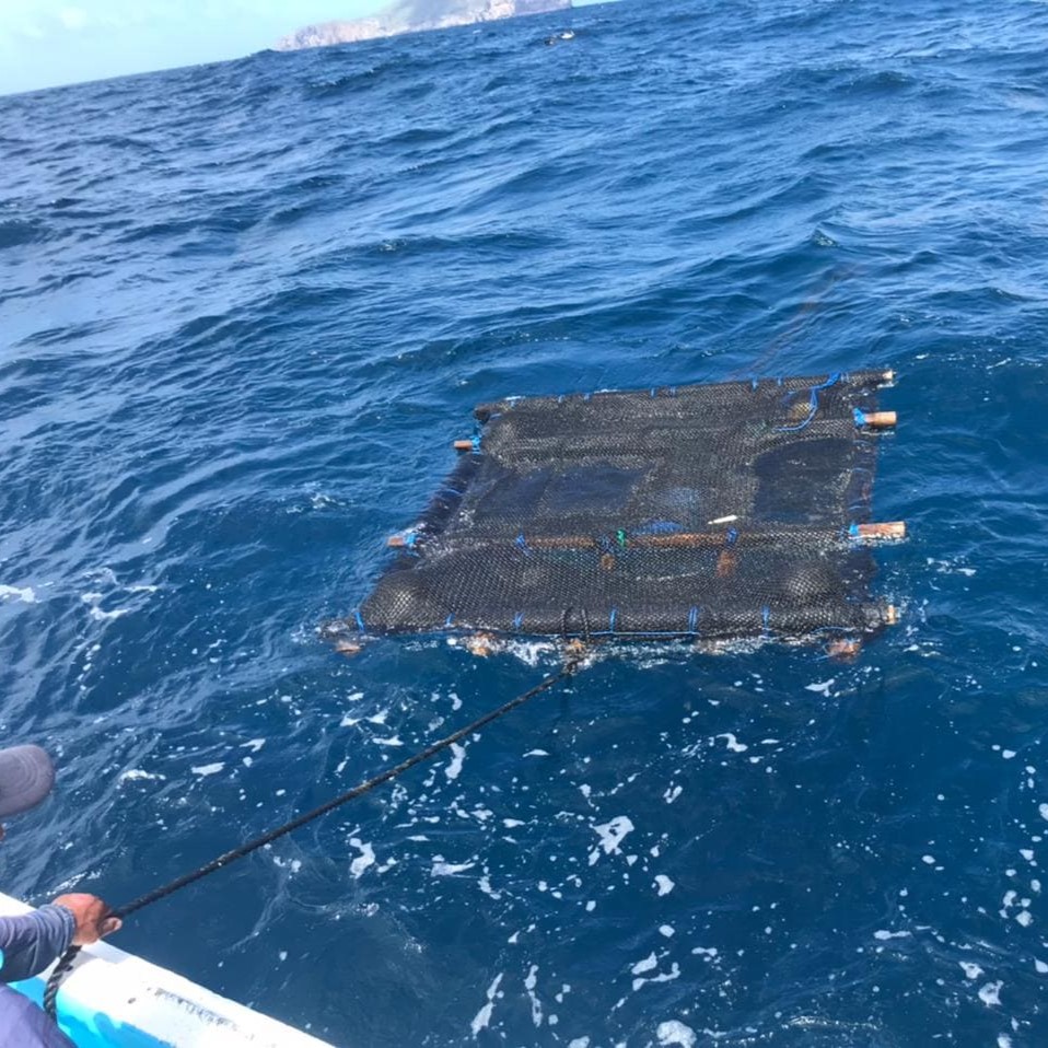 foto FTCG-2CG-GEUR-05 (1)