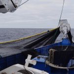A Decade Transforming Fisheries: The TUNACONS Journey Toward Sustainability