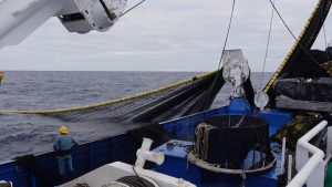 A Decade Transforming Fisheries: The TUNACONS Journey Toward Sustainability