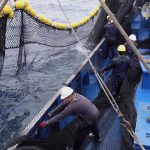 Una década transformando la pesca: el camino de TUNACONS hacia la sostenibilidad